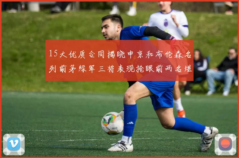 15大优质合同揭晓申京和布伦森名列前茅绿军三将表现抢眼前两名堪称传奇