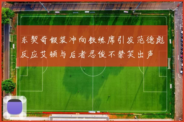 东契奇假装冲向教练席引发范德彪反应艾顿与后者忍俊不禁笑出声